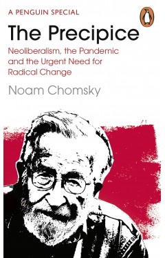 The Precipice - Neoliberalism, the Pandemic and the Urgent Need for Radical Change